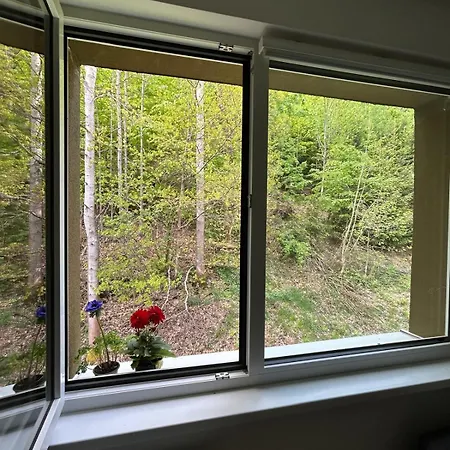 Pod Jachymovem Appartement